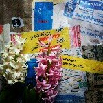 11350683_1029323823753423_87911701_a