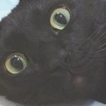 928852_515419345279341_778704985_a