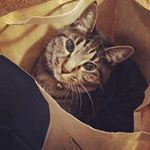 12106186_837538183032405_1552918900_a