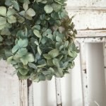 928658_1448957191993470_2003110826_a