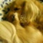 11375410_961091517275088_1803476488_a