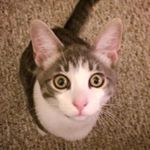 12070915_903998816344935_42784051_a