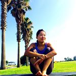 11820497_400587276807410_1106496076_a