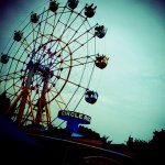 11821938_1644117075845725_1368130160_a