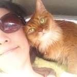 10919542_317065588490620_153914652_a