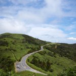 10832199_745013938906990_1201806896_a