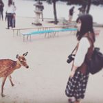 11821908_939307539496274_697130952_a