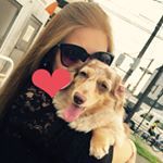 11266553_1630190837244325_1044238442_a