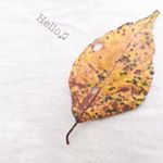 12107494_1491636134500050_1735424037_a