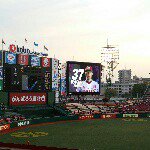 11176160_1387163178278415_143770356_a