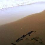 11850064_1691797234375411_1272289535_a