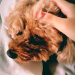 11809936_836347316480729_2098065379_a