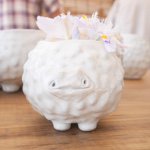 1389126_1592787930981524_2016868659_a