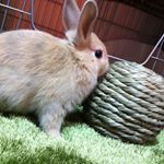 12145559_1057554110944650_585617292_a