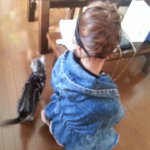 10948378_380229768804469_489662510_a