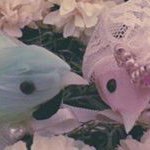 11008236_782790678481512_683754418_a