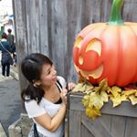 12144243_1640571272886599_1471129575_a