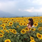 11017596_956877761011951_1957082705_a