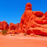 12106186_741196572652386_951895225_a