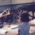 11820540_1675364222678250_844231837_a