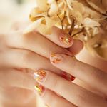 12139863_911304975585127_387858860_a