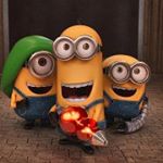 11849119_797617540356298_1570228289_a