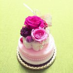 11084853_804799592937678_1352505474_a