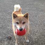 10623884_749728951749989_1433636673_a