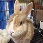 1391386_281986945305233_1508282779_a