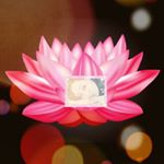 12071028_1505514509741593_612304030_a