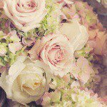 924762_680371512108057_563521464_a