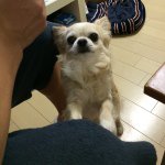 11018518_636979703097389_919070369_a