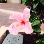 10735450_567831186697002_687744472_a