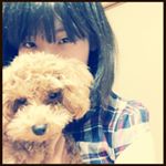 11939337_983837298305641_1508893918_a