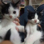 10471996_369904019852526_958949964_a