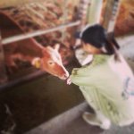 10729254_1482906228654084_1997099434_a