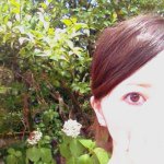 11311546_1643098599280487_245721124_a