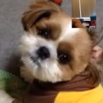 10734999_1511417325781093_1485593751_a