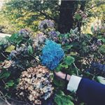 12135246_1699341516953500_2099812701_a