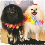 11263305_978858908805567_1831188638_a