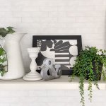 11205853_685463328243816_1319370262_a