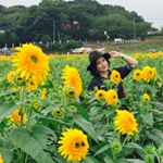 11909340_809284762518612_1258760106_a