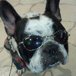 11005064_951994271512092_536026476_a