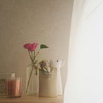 11176518_792982494155952_769817_a