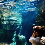 927165_361594557323804_285901899_a