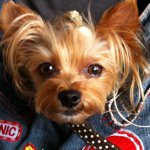 11820649_140913559579347_985164268_a