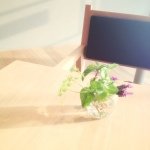 11370997_1468606363464805_1141507903_a