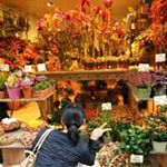 11356490_1638828743064502_662359180_a