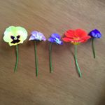 12142191_1190519544307949_273504350_a