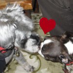 11375828_1481508888827205_114145820_a